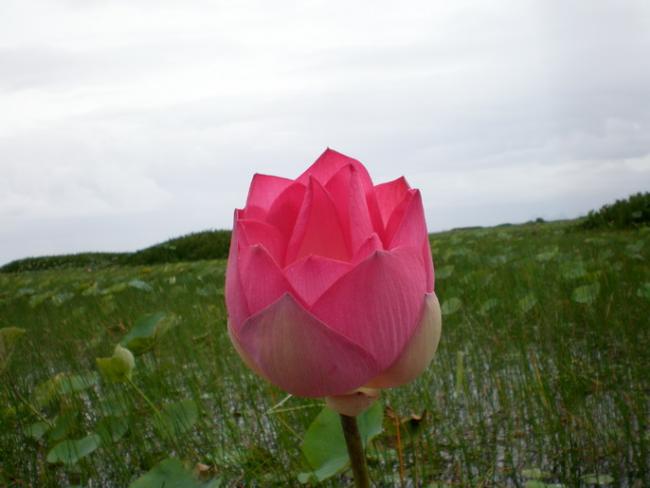 SANY7422.jpg